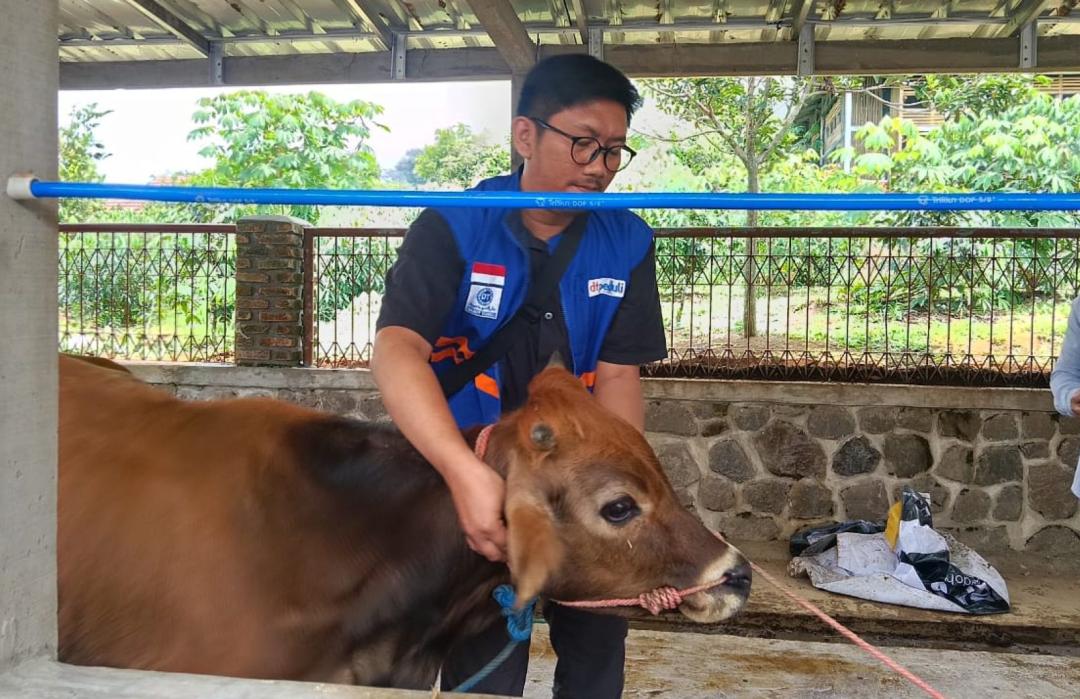 Placeholder for main article image